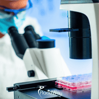 Stem Cell Treatment in Germany: Expert Care & Costs